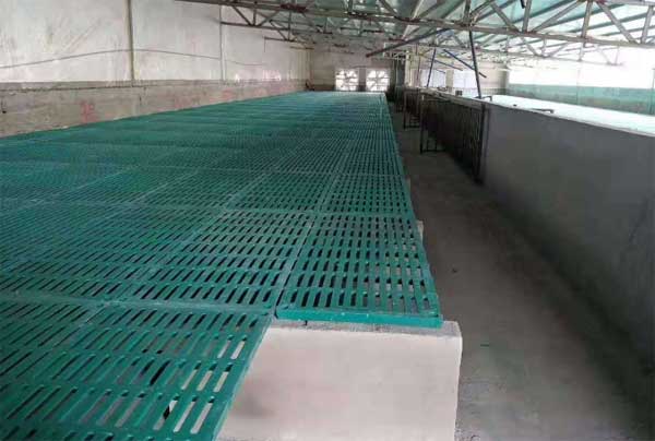 復合材料漏糞板使用現場